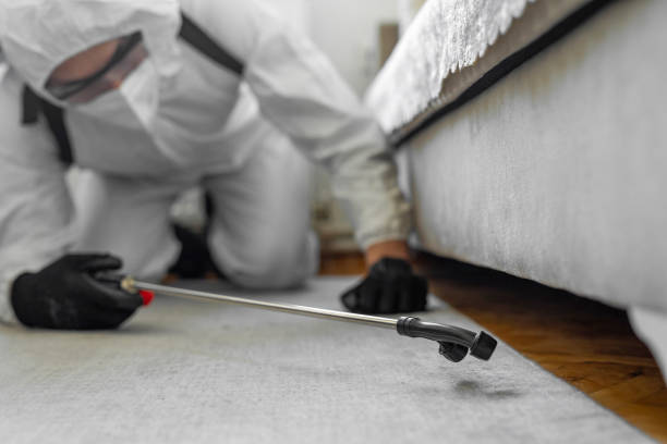 Professional Termite Control technician working in Fayette, AL
